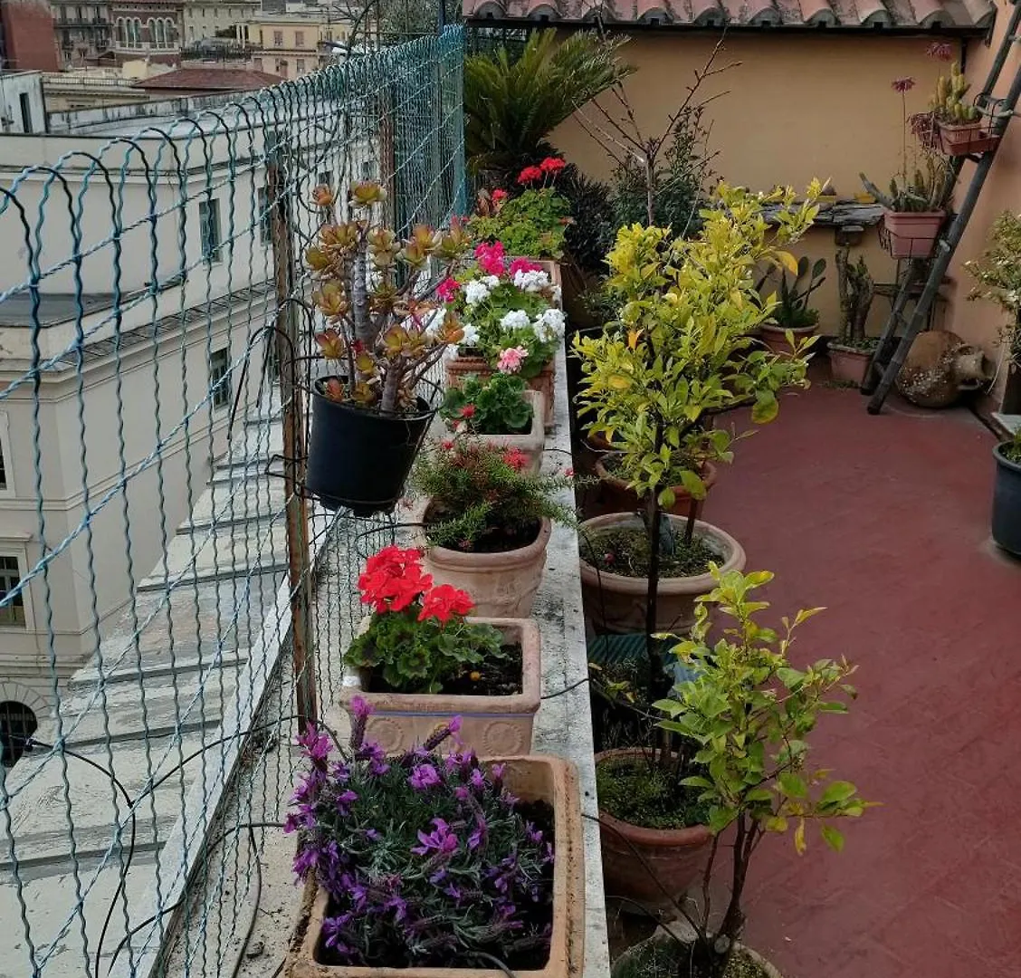 Apartment Casa L'Incanto Rome Italy